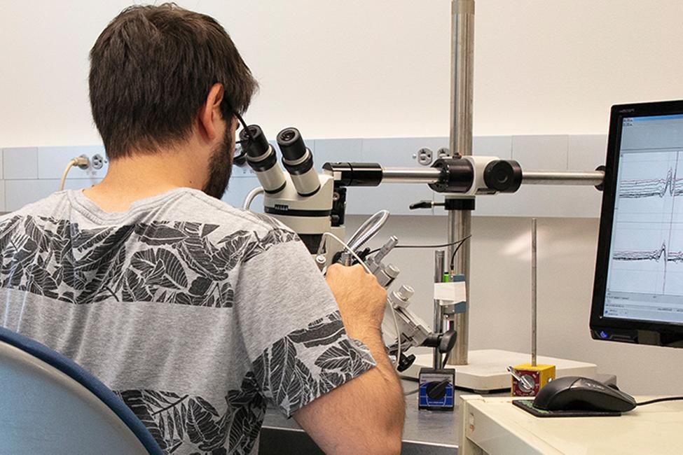 male student looking into microscope